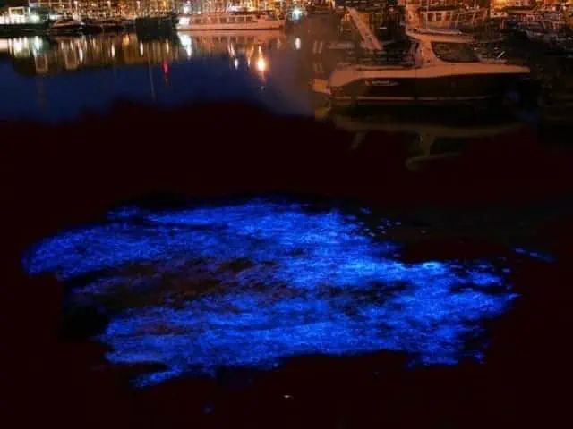 glowing sea